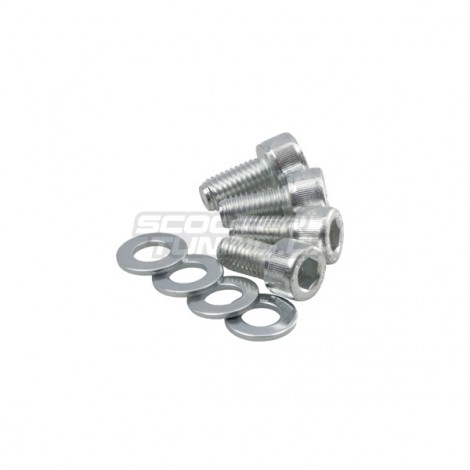 Socket Screw Set for Rear Fatty Wheel (Bws/Zuma)