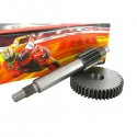 Gears