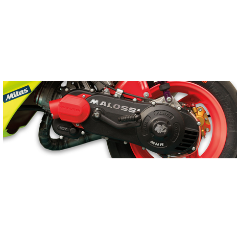 Malossi C-One